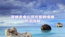 深圳殺蟲(chóng)公司完整的蟲(chóng)害防治流程