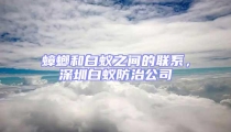蟑螂和白蟻之間的聯系，深圳白蟻防治公司