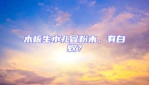 木板生小孔冒粉末，有白蟻？