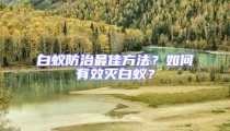白蟻防治最佳方法？如何有效滅白蟻？