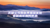 滅鼠公司教你養(yǎng)殖場發(fā)現(xiàn)老鼠應該如何防治
