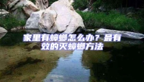 家里有蟑螂怎么辦？最有效的滅蟑螂方法