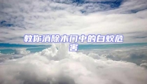 教你消除木門中的白蟻危害