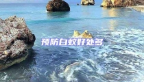 預(yù)防白蟻好處多