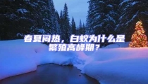 春夏悶熱，白蟻為什么是繁殖高峰期？