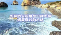 滅蟑螂公司推薦幾種滅蟑螂最有效的方法