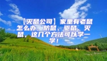 【滅鼠公司】家里有老鼠怎么辦，防鼠、驅(qū)鼠、滅鼠，這幾個方法可以學一學！