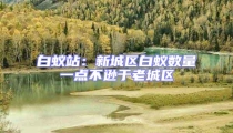 白蟻站：新城區(qū)白蟻數(shù)量一點(diǎn)不遜于老城區(qū)