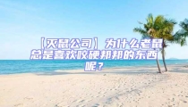 【滅鼠公司】為什么老鼠總是喜歡咬硬邦邦的東西呢？