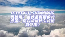 2021年什么殺蟑螂的藥最管用？推薦最好用的蟑螂藥？南方蟑螂什么蟑螂藥管用？