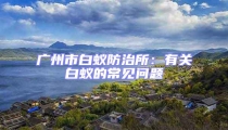 廣州市白蟻防治所：有關(guān)白蟻的常見問題
