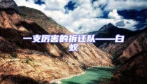 一支厲害的拆遷隊——白蟻