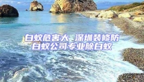 白蟻危害大 深圳裝修防白蟻公司專業除白蟻