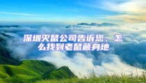 深圳滅鼠公司告訴您，怎么找到老鼠藏身地