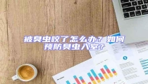 被臭蟲咬了怎么辦？如何預防臭蟲入室？