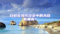 白蟻在現(xiàn)代社會(huì)中的天敵有哪些？