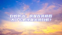 白蟻防治：房屋在裝修后為什么很快就出現白蟻？