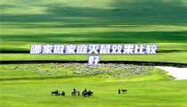 哪家做家庭滅鼠效果比較好