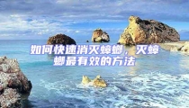 如何快速消滅蟑螂，滅蟑螂最有效的方法