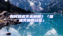 如何徹底滅殺蟑螂？「深圳滅蟑螂經驗」