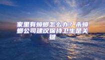 家里有蟑螂怎么辦？殺蟑螂公司建議保持衛生是關鍵